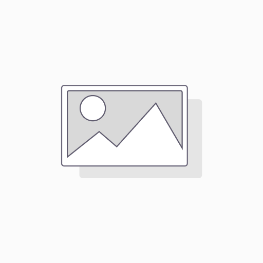 R - LYON - POMPEII - Groupe - Acc. Scolaire payant